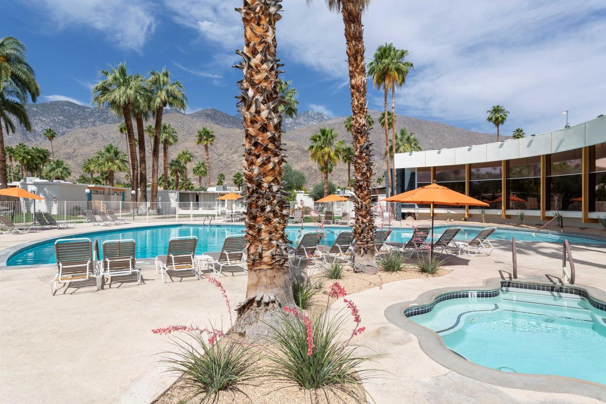 Mid-Century Palm Springs Bungalow With Patio! Zewnętrze zdjęcie
